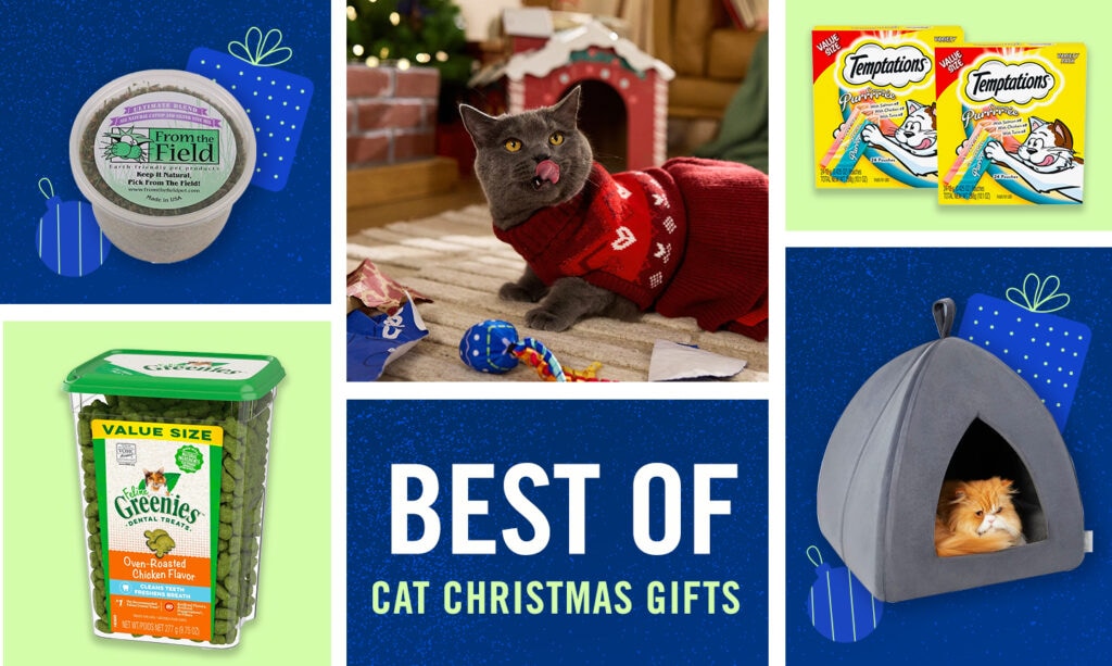 The best Christmas gifts for dogs and cats in 2023