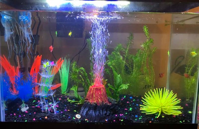 Our neon aquarium  Glow fish, Cool fish tanks, Fish tank design