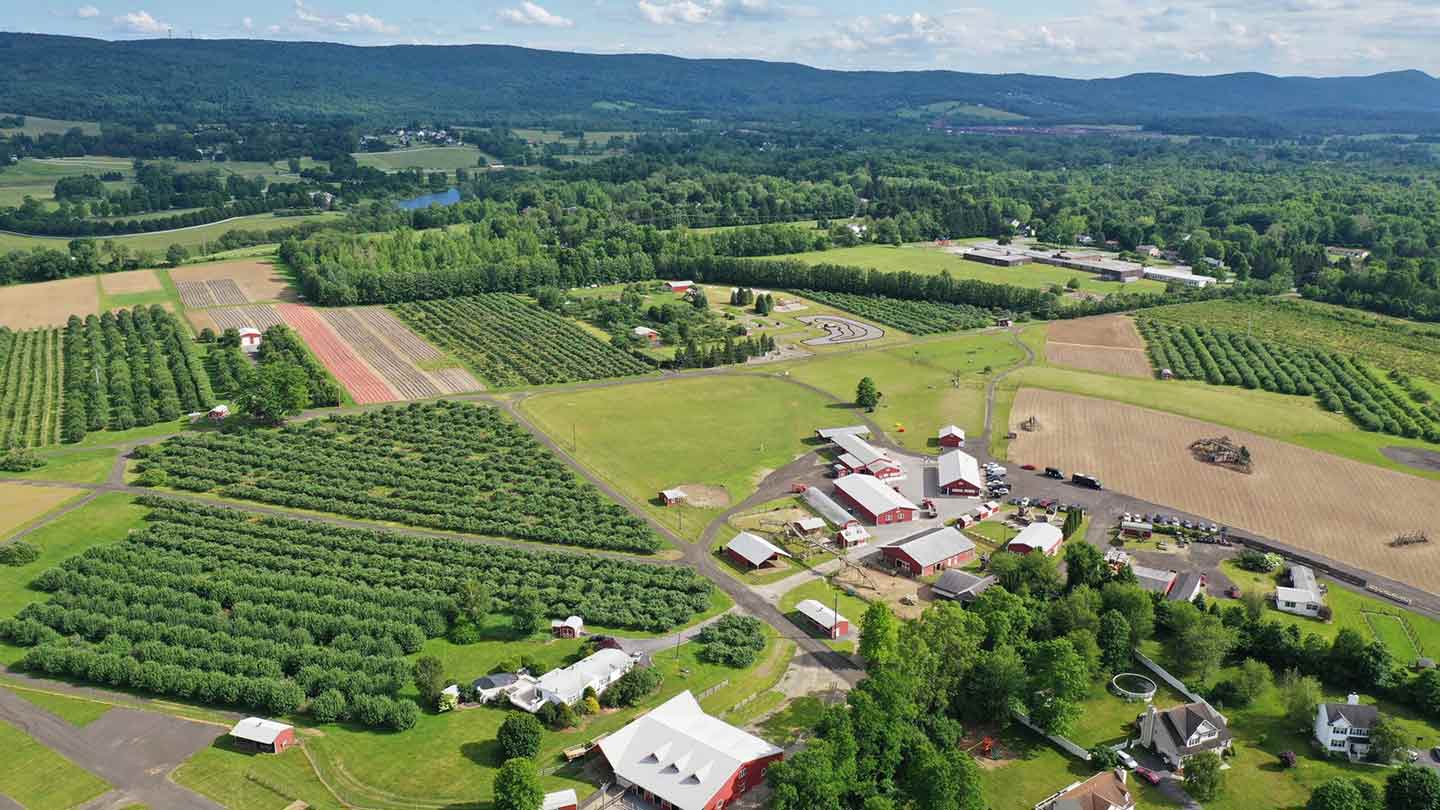 New Fall Tradition Alert: Apple Picking at These Dog-Friendly Orchards | burninloveblog.com