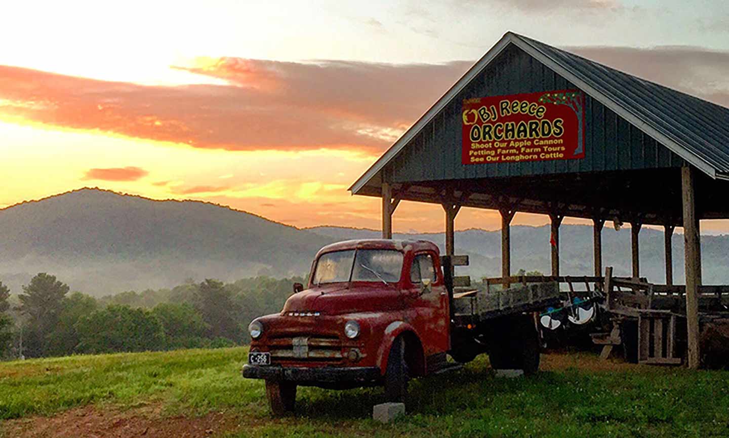 New Fall Tradition Alert: Apple Picking at These Dog-Friendly Orchards | burninloveblog.com