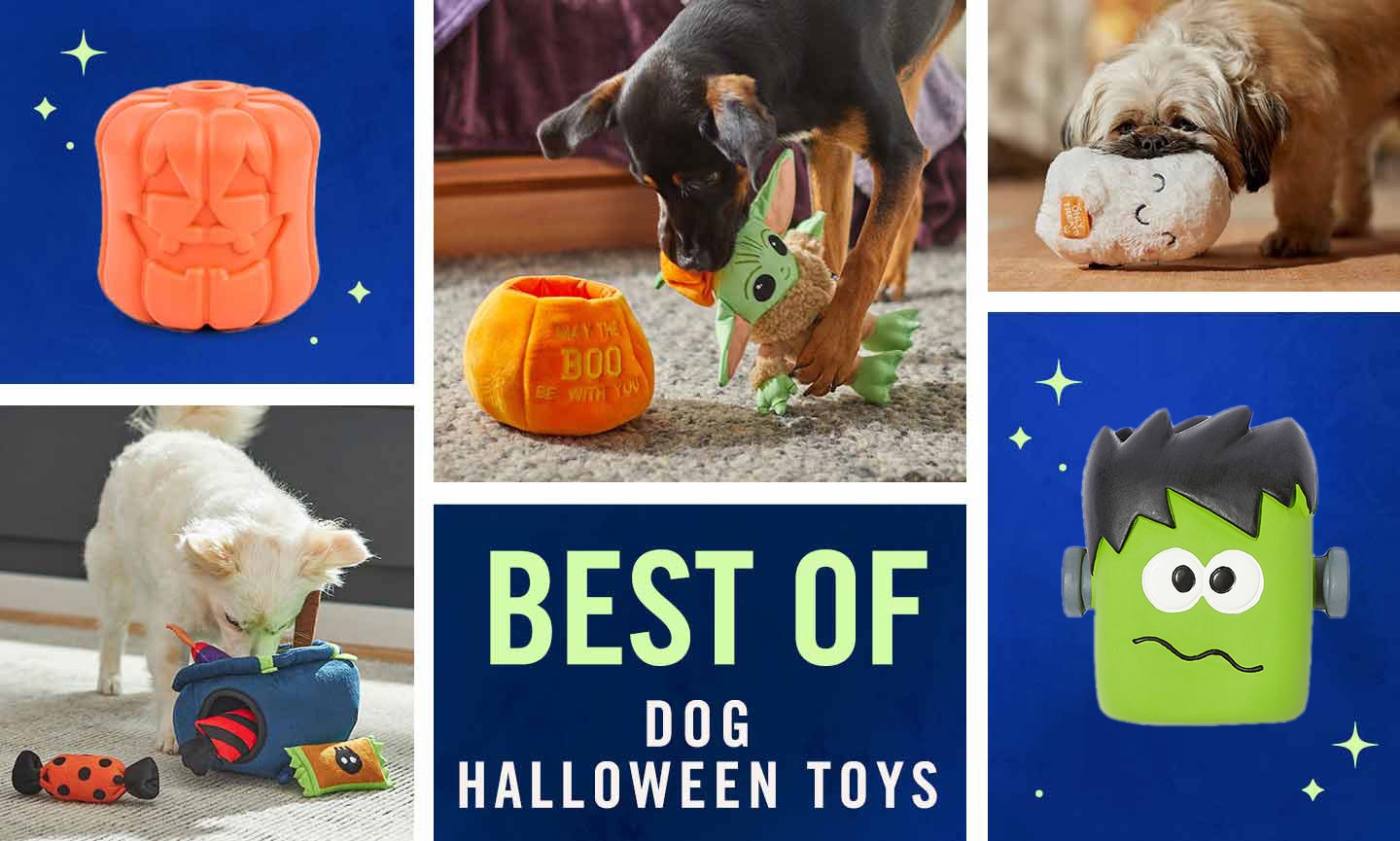 best dog halloween toys