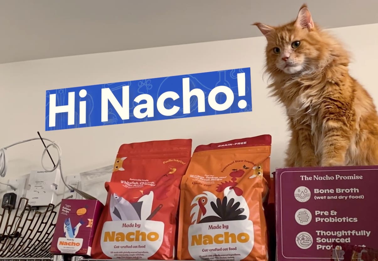 In My Pet’s Pantry: Bobby Flay Gives a Tour of Nacho the Cat’s Pantry
