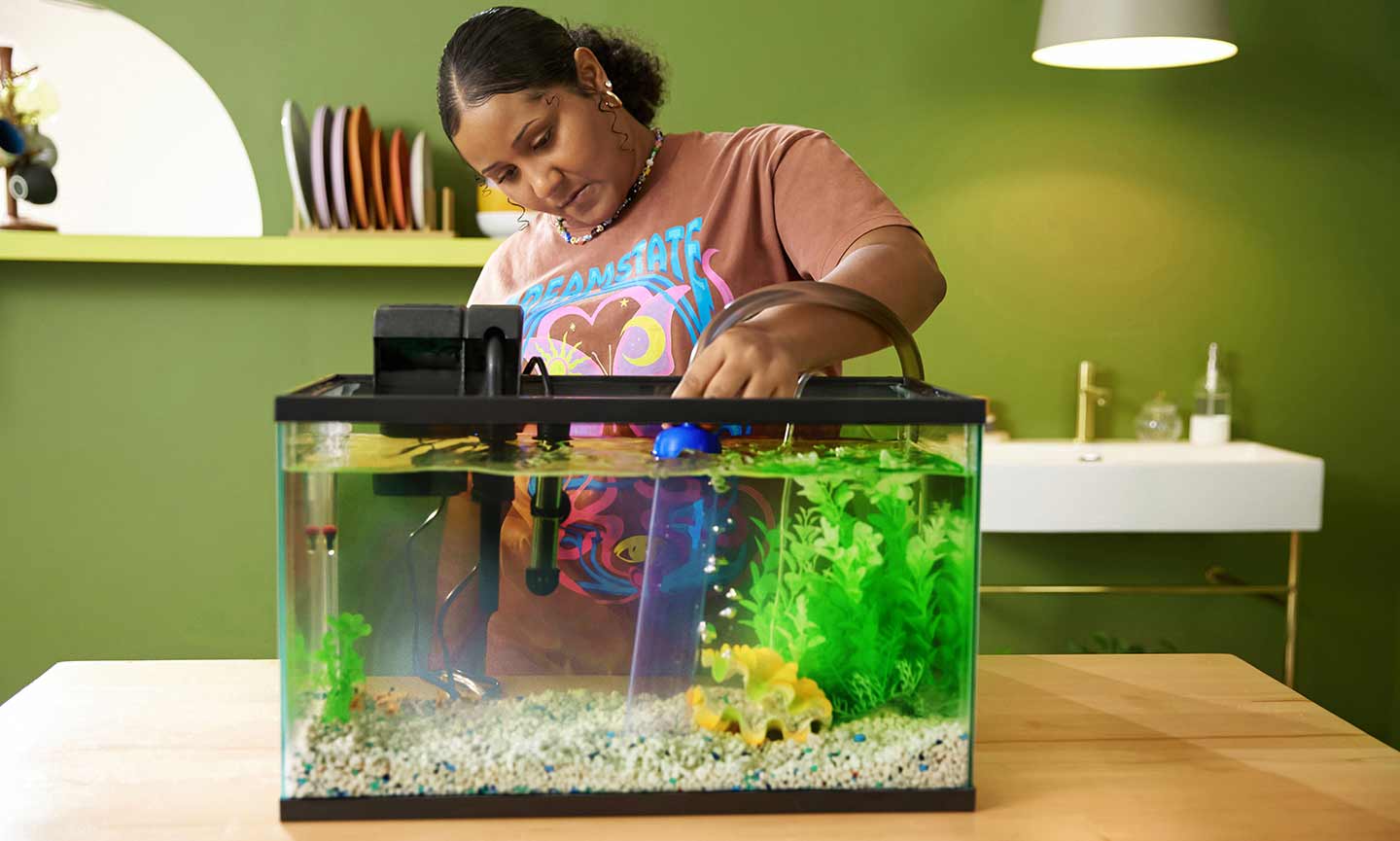 What Temperature Should A Fish Tank Be