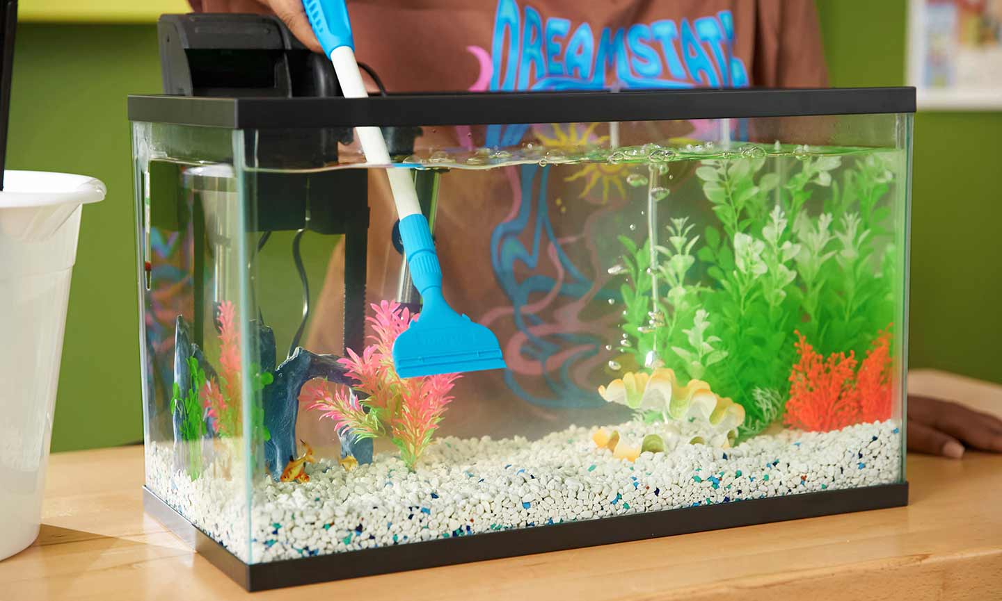 How to Clean a Fish Tank Freshwater Tank Instructions BeChewy