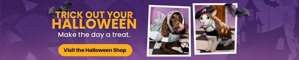 Halloween Costume Shop