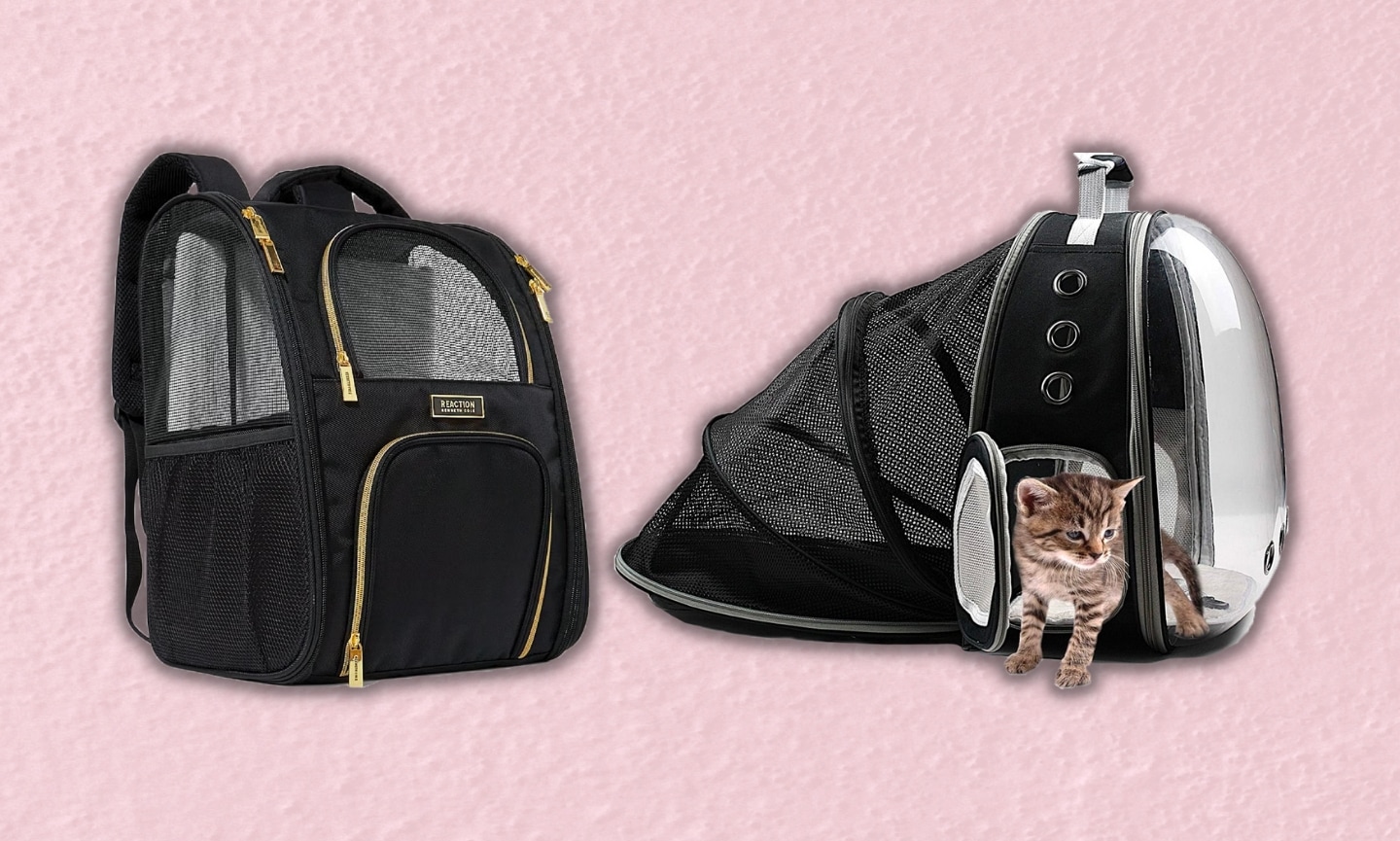 Cool hotsell cat backpack