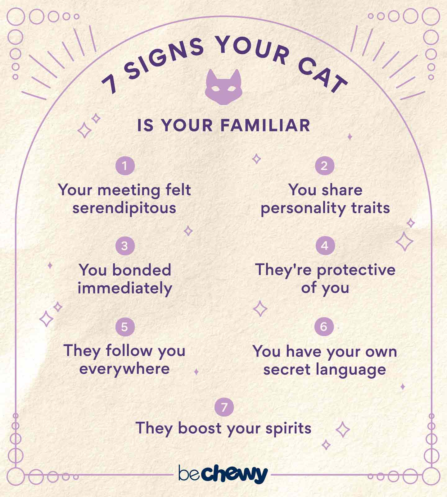 7 signs your cat is your familiar