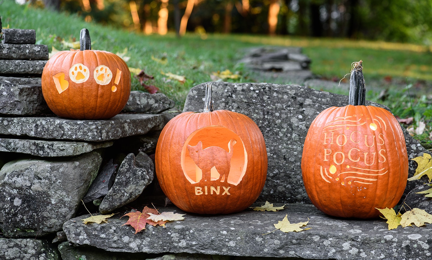 spooky tree pumpkin template