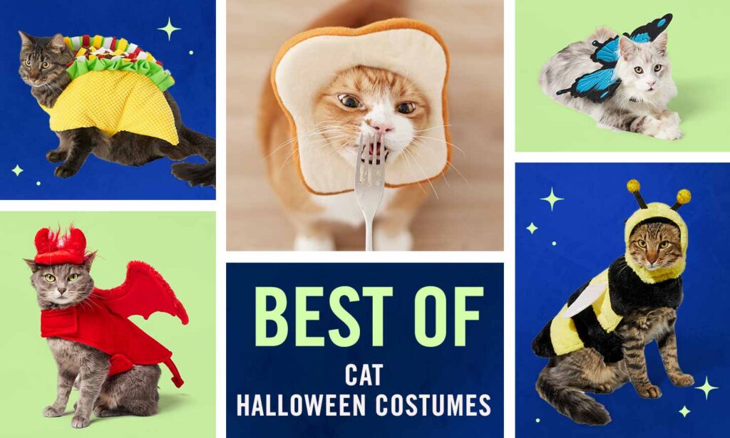 25 Best Halloween Cat Costumes (They'll Actually Wear!)