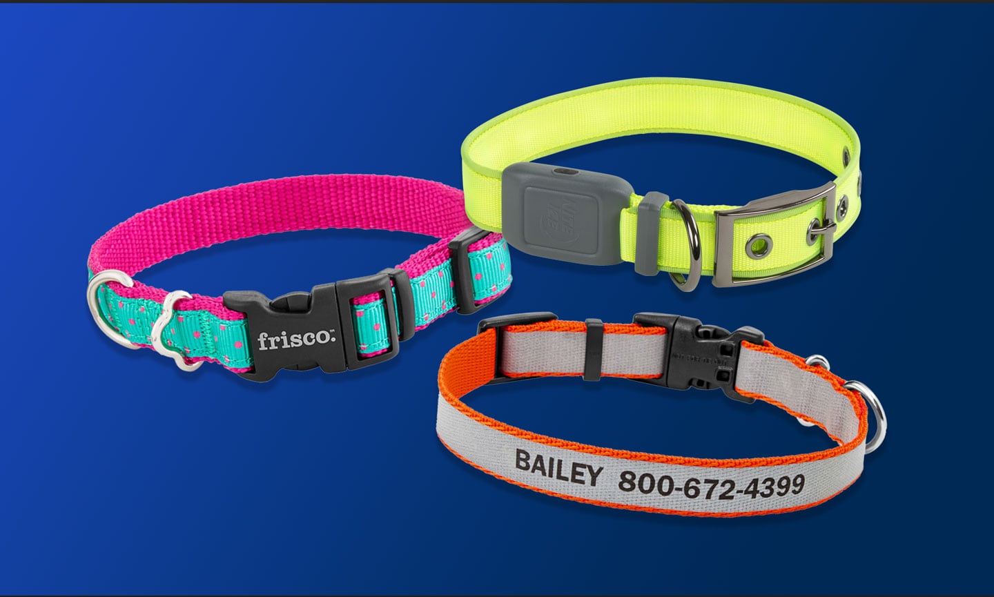 Chewy dog collars best sale