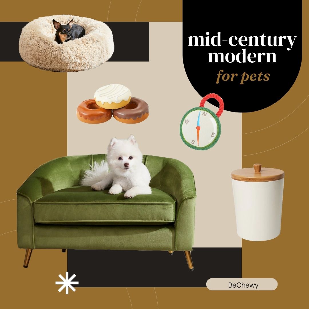 midcentury-modern-pets-bechewy