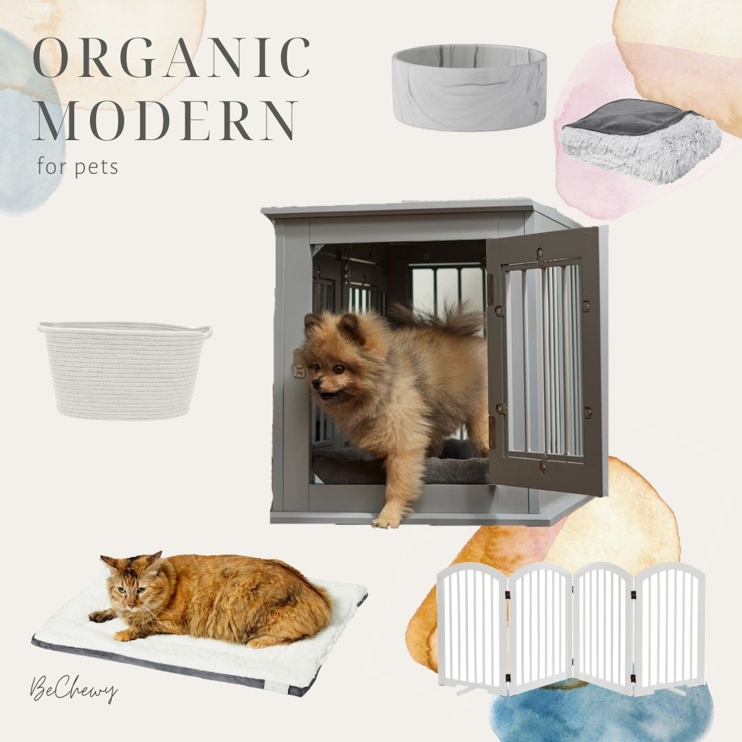 organic modern for pets Emily Wang picks
