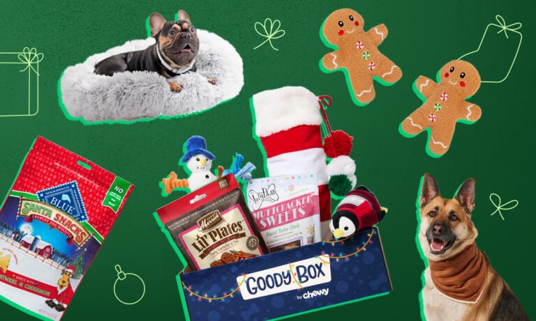 The Best Dog Christmas Gifts for 2020