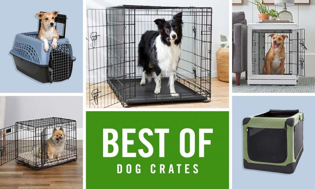 The Best Dog Crates of 2022 As Rated by Pup Parents Like You | BeChewy