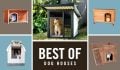 The Best Dog Houses to Turn Your Backyard into a Pup-Approved Sanctuary