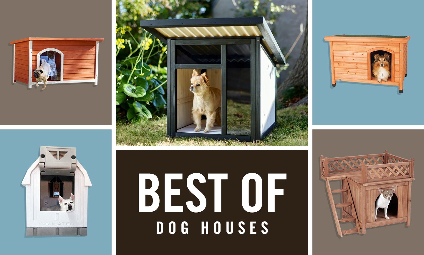 The 5 Best Insulated Dog Houses Reviewed 
