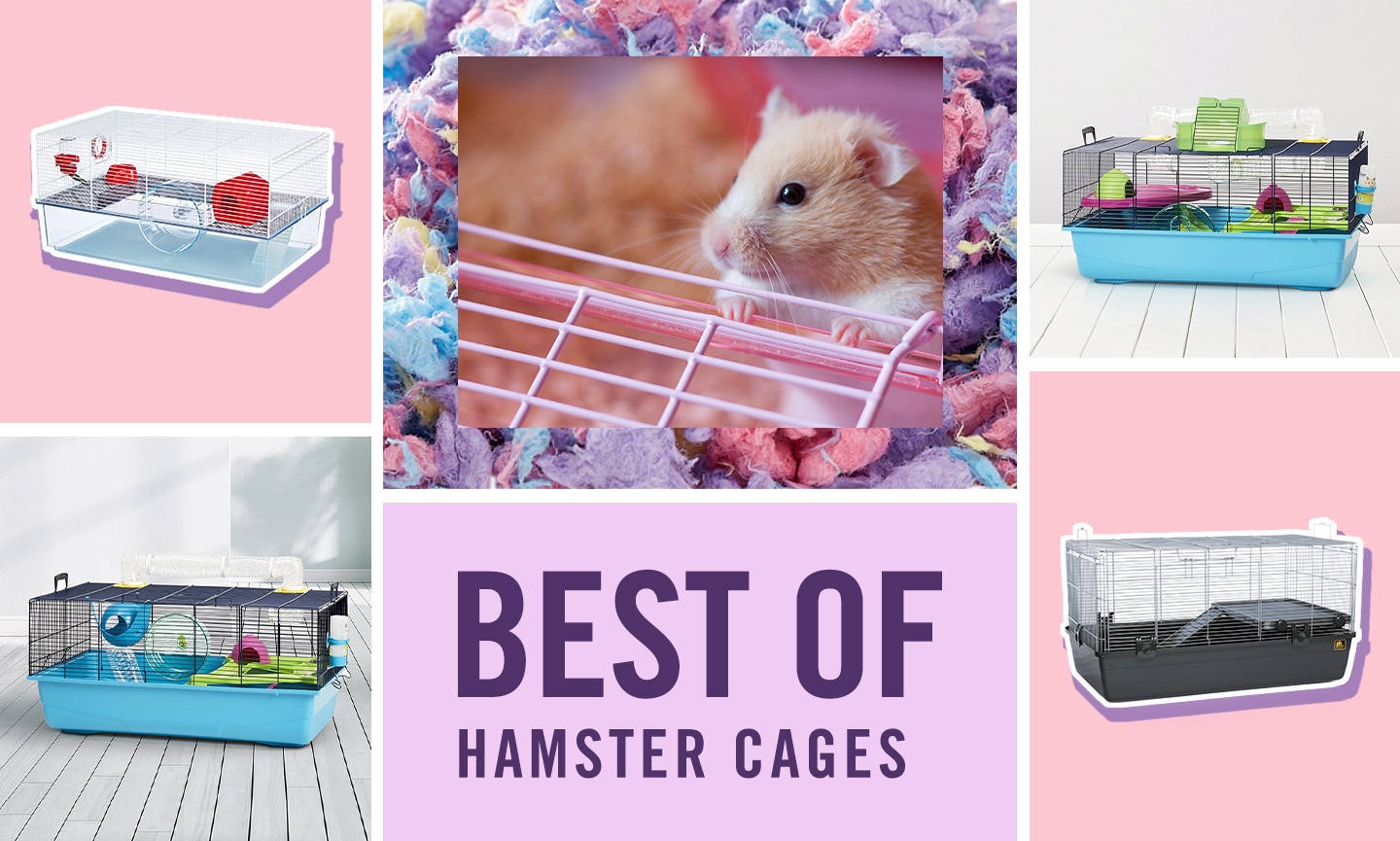 Recommended hamster best sale cage size