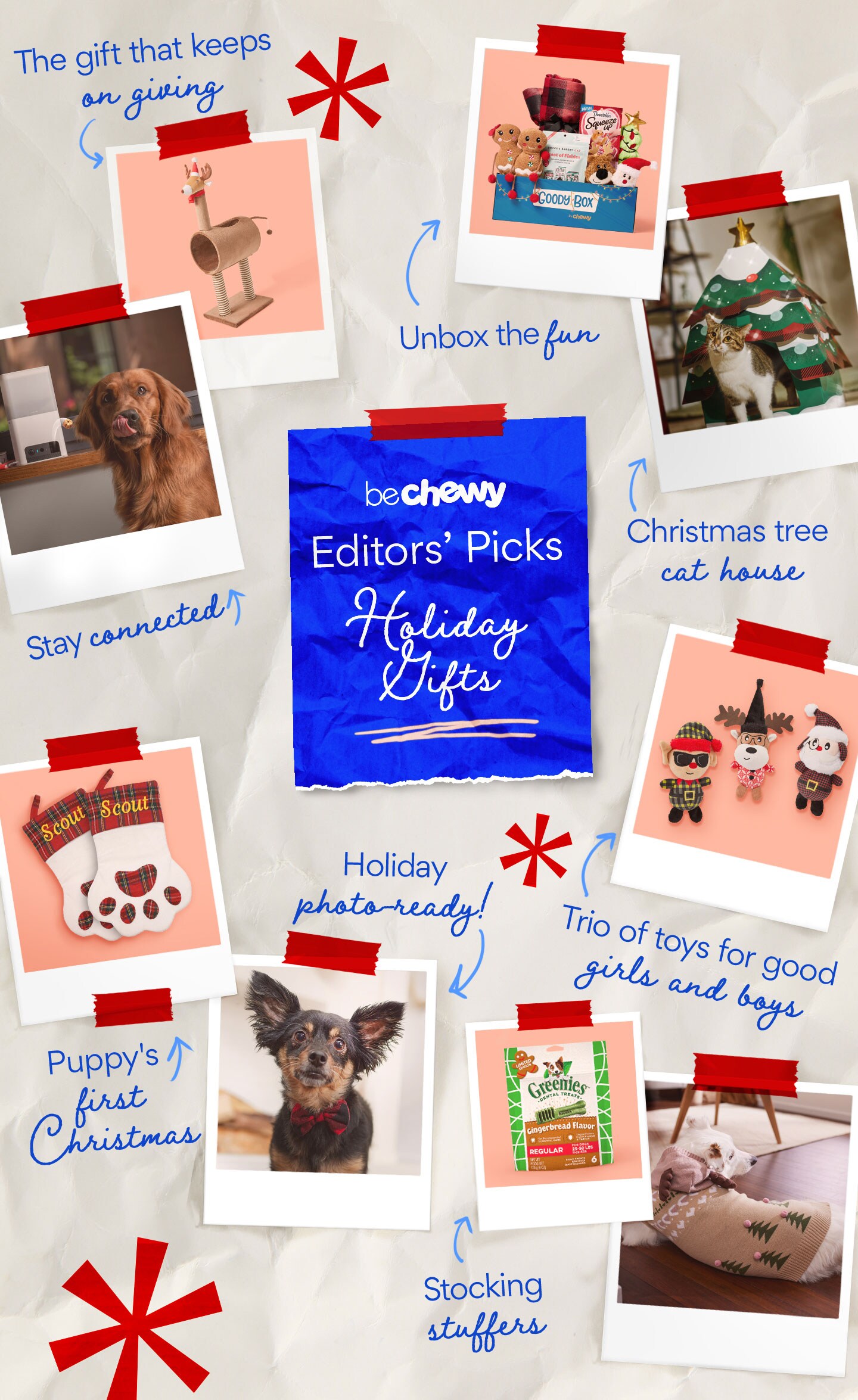 All of our editors' pet gifts picks for holiday 2022