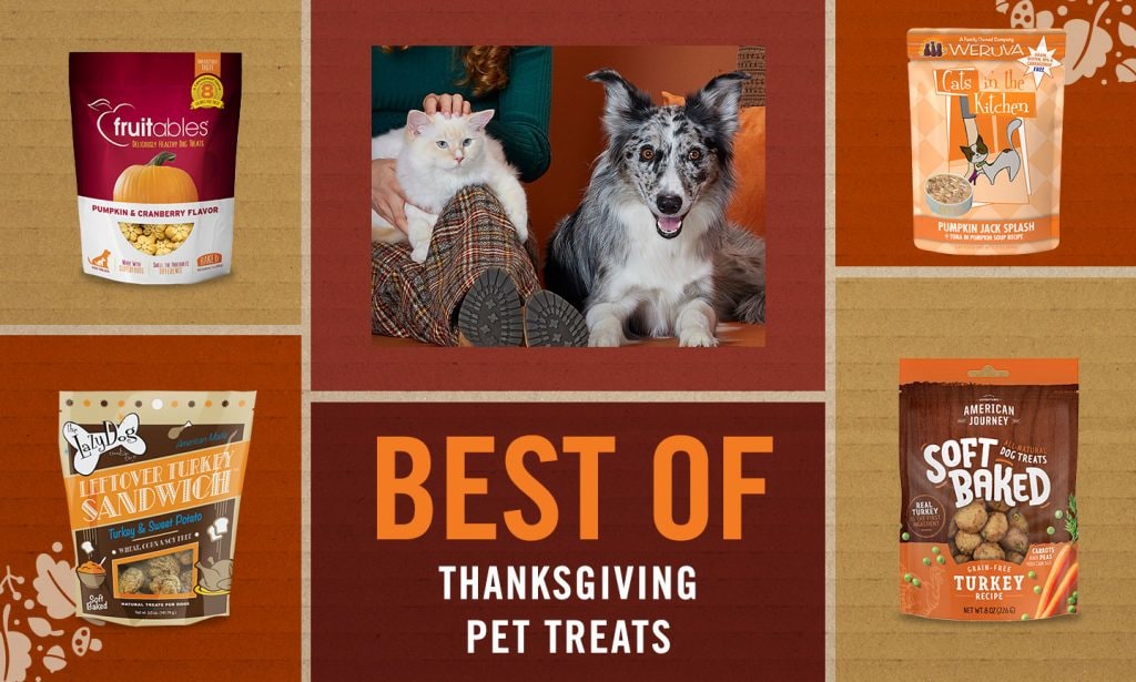 best thanksgiving pet treats