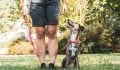 How to Find the Best Dog Trainer for Your Unique Pup