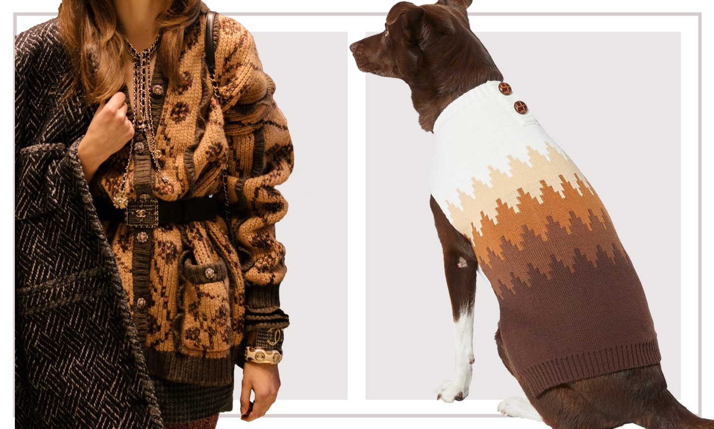 Chanel Tweed Dog Coat