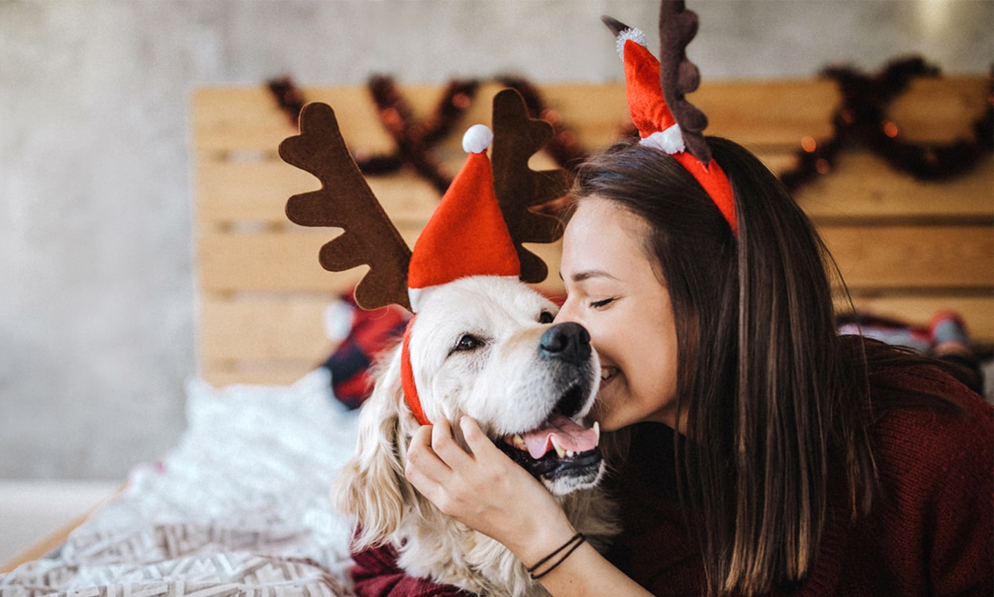 How to Celebrate the Holidays With Pets | BeChewy
