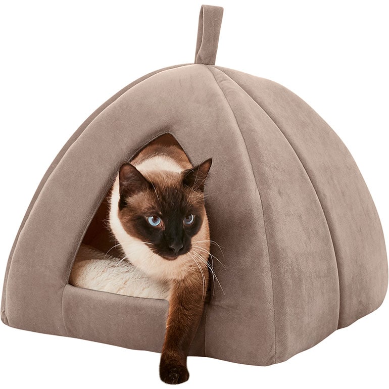 Frisco Tent Covered Cat Bed