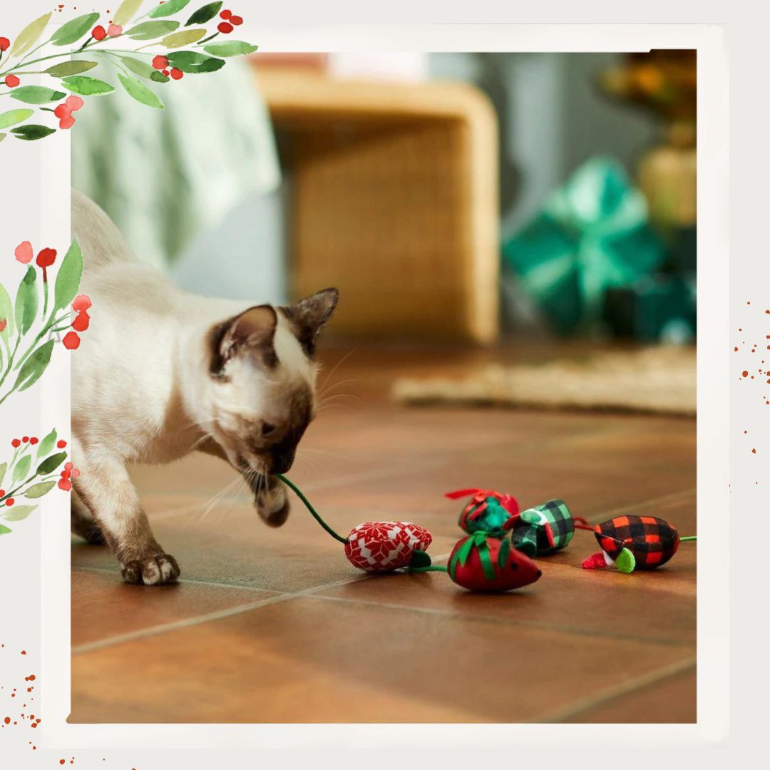 Drink up these perfect presents for your pet this Christmas! 🐶🎄 # WeatherTech #giftideas #petgifts #doggifts #catgifts