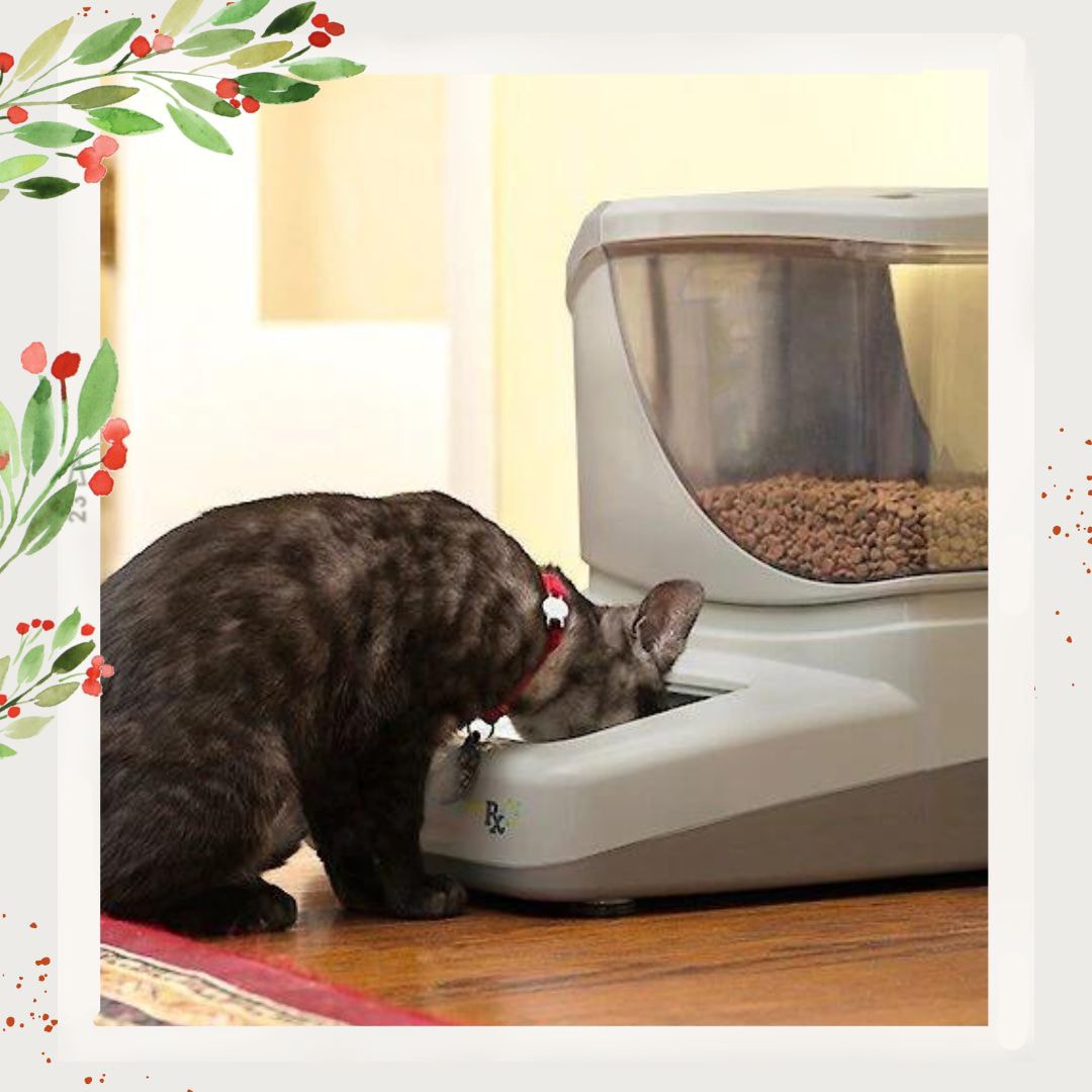 Portionpro Rx Pet Feeder edu.svet.gob.gt