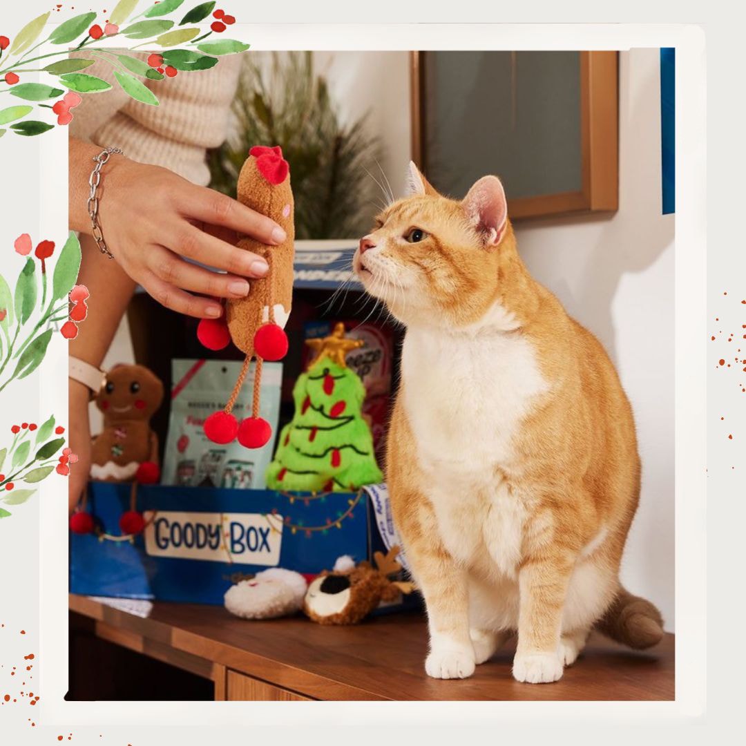 https://media-be.chewy.com/wp-content/uploads/2022/11/23120023/Goody-Box-Holiday-Cats.jpg