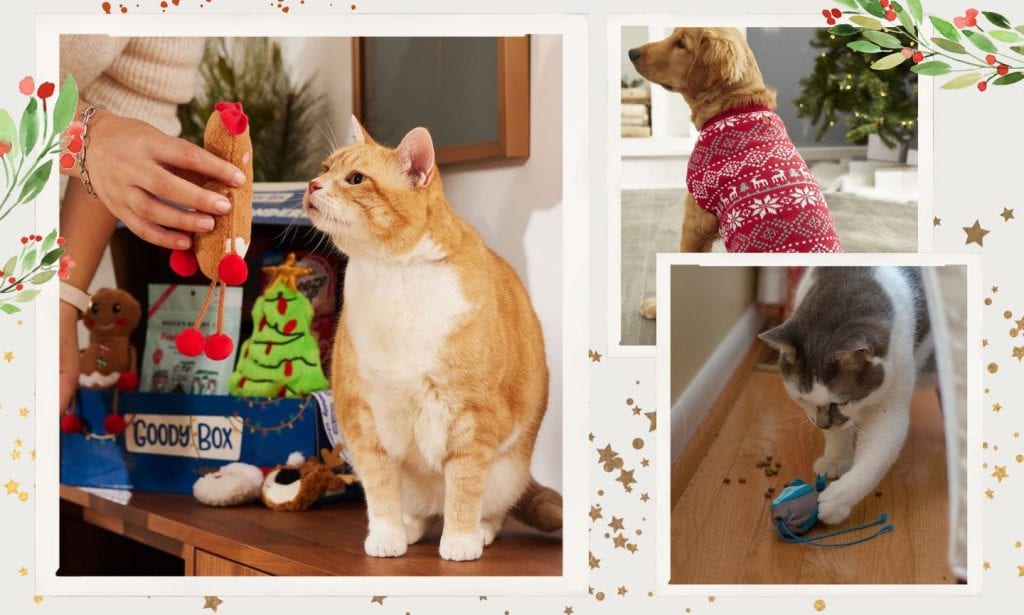 holiday pet gifts collage