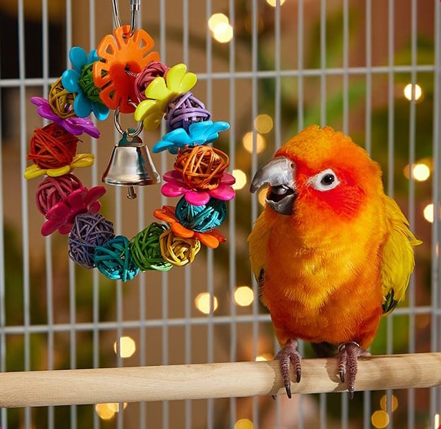 Christmas decoration idea for birds