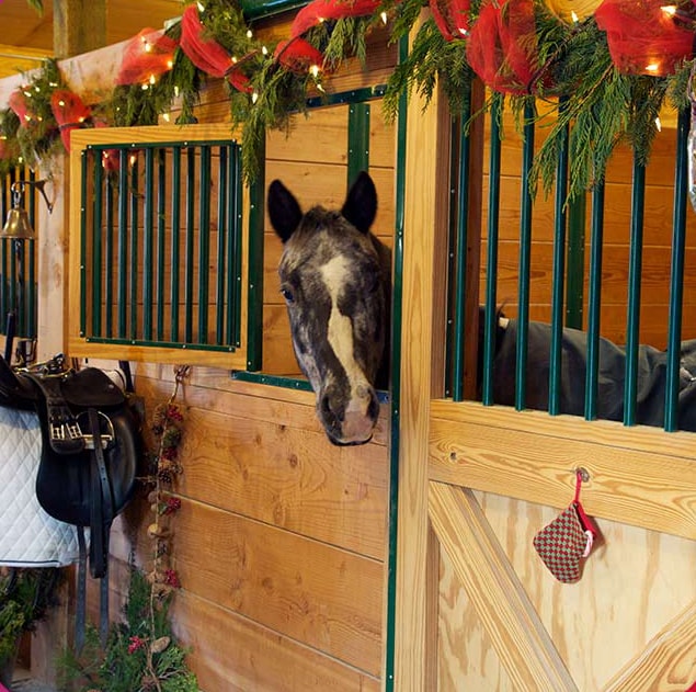 Christmas decoration idea for horses