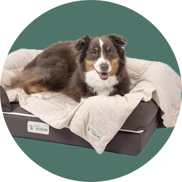 PetFusion Premium Cat & Dog Cooling Blanket