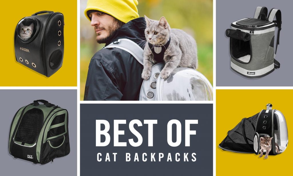 best cat backpacks