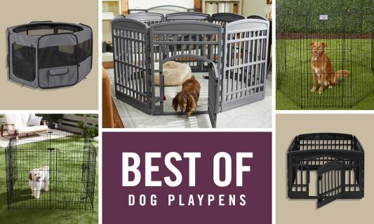best dog playpens