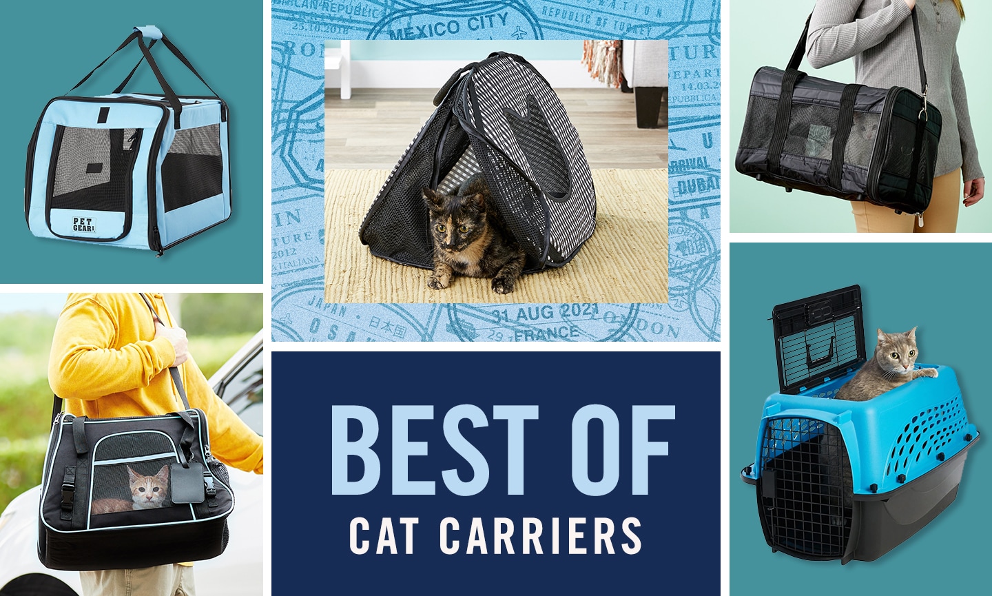 Cat-In-The-Bag – The Best Cat Carrier!
