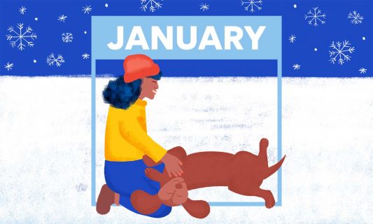 january calendar illustration of woman and dog in snow