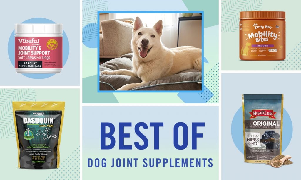 best joint supplement for dogs