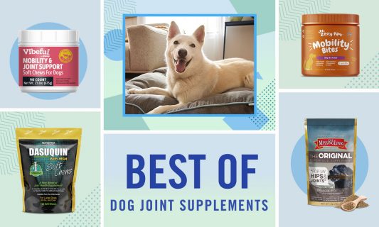 best joint supplement for dogs
