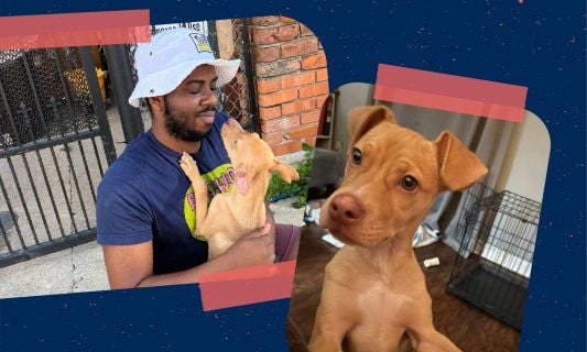photo collage of dog and man smiling