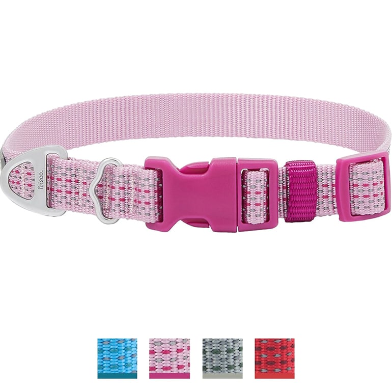 Different Types of Dog Collar - My Best Friend Dog Care