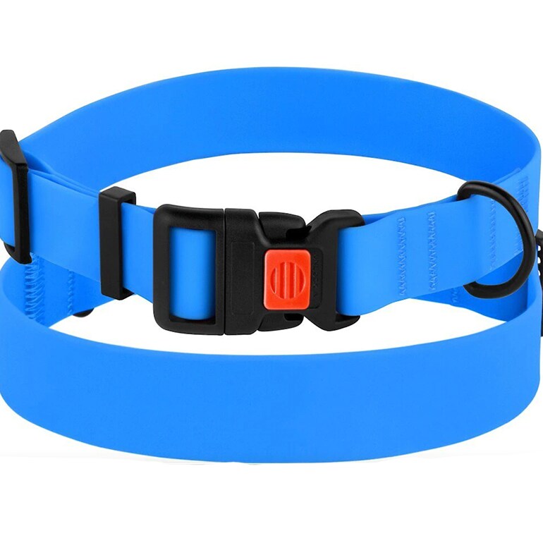 Buying Guide Choosing the Best Dog Collars for Every Pup BeChewy