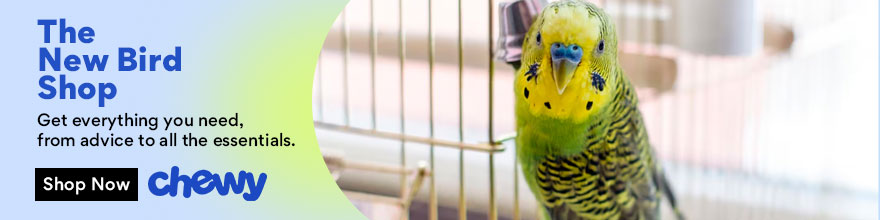 280 Names for Your Pet Bird