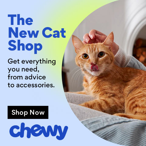 New Cat Shop