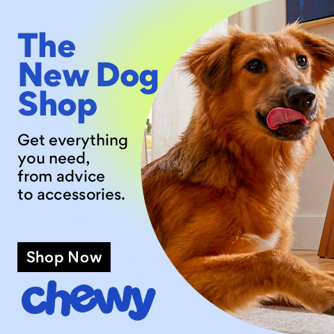 New Dog Shop | Chewy