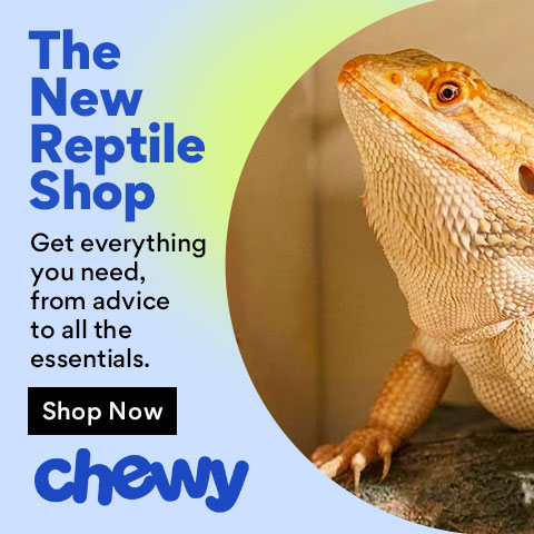 New Reptile Shop