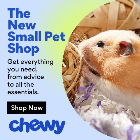 New Small Pet Shop