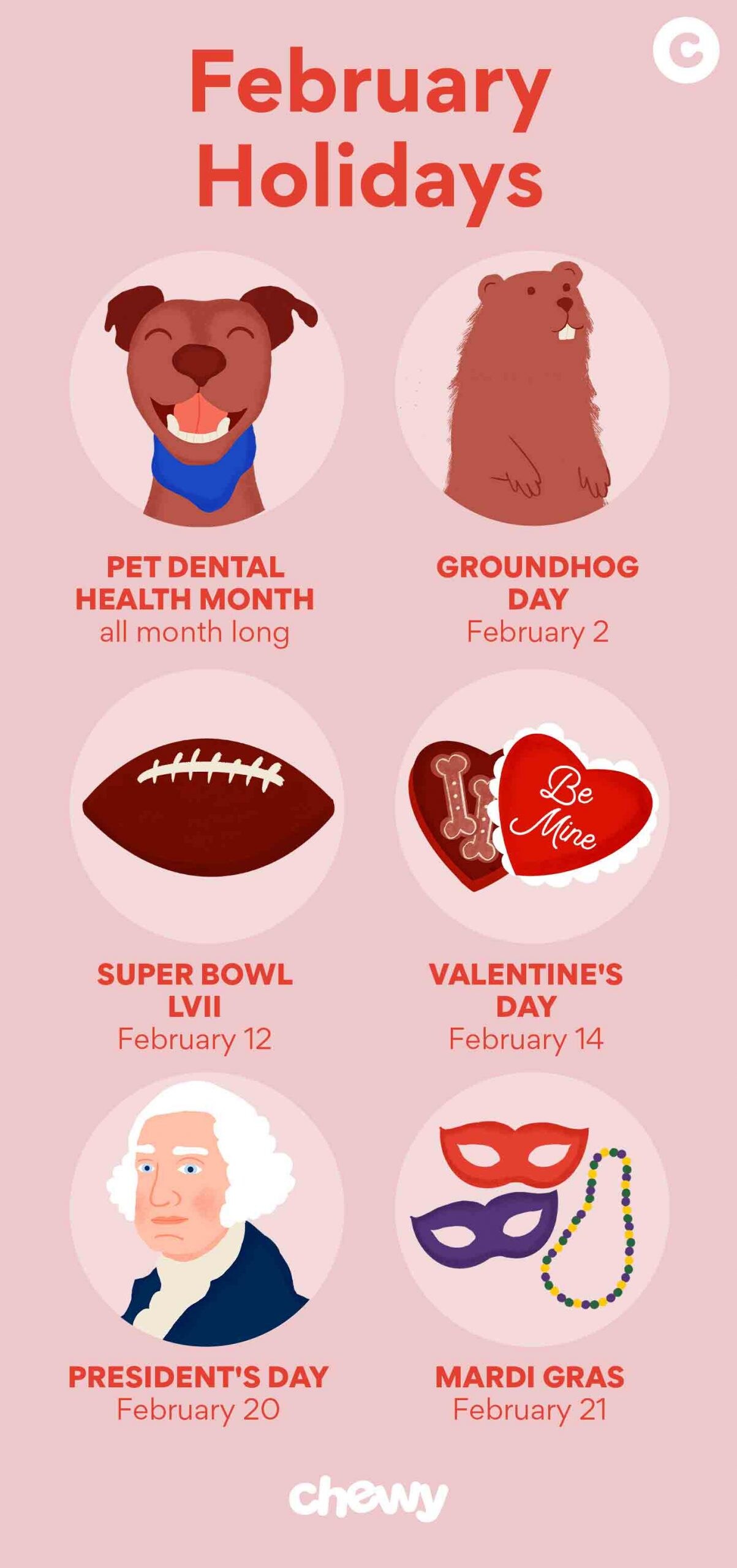 February holidays infographic