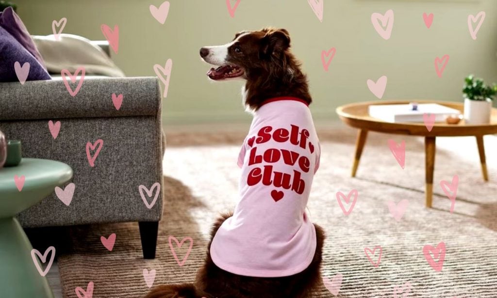 dog valentine's day shirt chewy